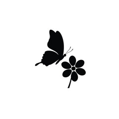 butterfly and flowers