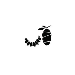black and white spider