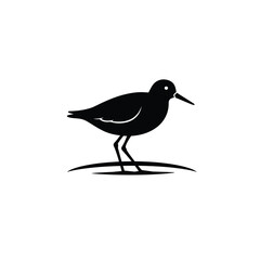 vector illustration of a bird