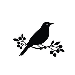 bird on a branch