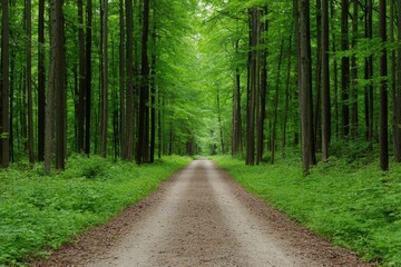 Fototapeta premium wellness tourism mental health digital detox. Secluded forest retreat with journaling, breathwork, and digital detox mindfulness practices