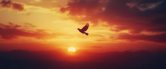 Fototapeta premium silhouette of flying dove bird against beautiful sunset sky background