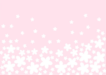 たくさんの白い花の壁紙　背景　サーモンピンク