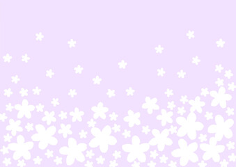 たくさんの白い花の壁紙　背景　紫
