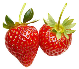 Hyper-Realistic Painting of a Strawberry &ndash; PNG with Transparent Background