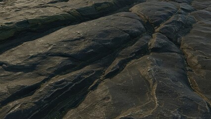Fototapeta premium Close-up of rugged rocky surface showcasing natural textures.