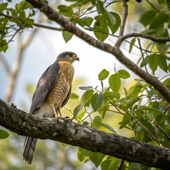 Fototapeta premium A beautifully detailed 3D render of a colorful bird perched on a tree branch in sunlight.