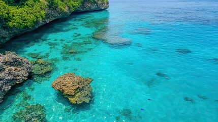 Obraz premium Tropical ocean bay shows vibrant turquoise water and rocky shore