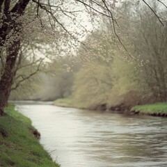 Fototapeta premium Serene River Flowing Gently Through Lush Green Landscape with Cherry Blossom Trees Framing the Scene in a Soft Light During Early Spring