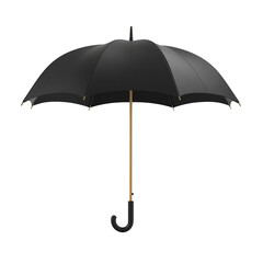 Classic Black Umbrella Elegant Design Rainy Day Protection,