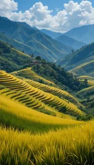 Gardinen Golden Rice Terraces of Sapa, A Breathtaking Panorama in Northern Vietnam © Pungkas
