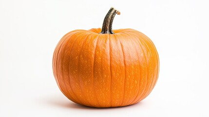 Obraz premium A smooth and perfectly round pumpkin with a thick stem, isolated on white to highlight its flawless fall characteristics