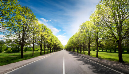 Fototapeta premium 並木道