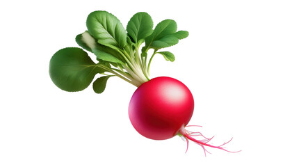 Radish with Green Tops 3D Cartoon Style Illustration on White Background