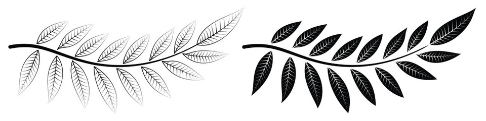 Leaf Vector Design. Delicate leaves line art. Nature inspired, Detailed, and versatile illustration for greenery, Eco, and botanical themes. Fully scalable and customizable for print and digital.