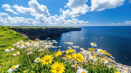 Scenic cliffside view showcasing wildflowers ocean and vibrant sky