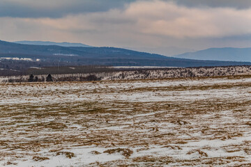 Landscapes - Forest - Europe, Romania, Suceava region