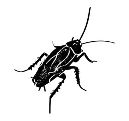 Cockroach, roach. Black silhouette of a cockroach isolated on white background. Vector illustration. Top view. Pest control and infestation concept for design, print and educational material.