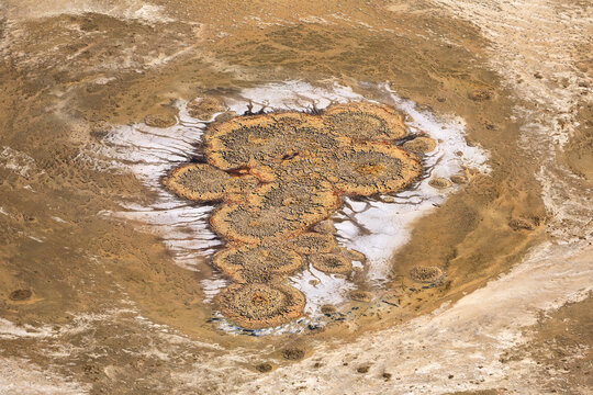 Kati Thanda Lake Eyre, South Australia, Australia. Aerial photography showing textures, patterns and colours of mound springs following the wet season.	
