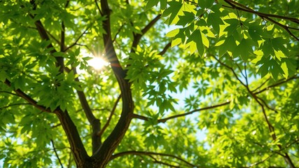 Lush Green Tree Infographic Background - Modern Design