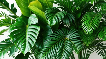 Lush Tropical Plant Jungle Decor - Indoor Oasis