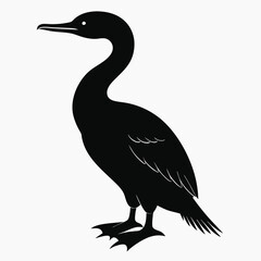 Clean Cormorant Bird Silhouette Design