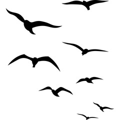 Birds Flying Silhouette