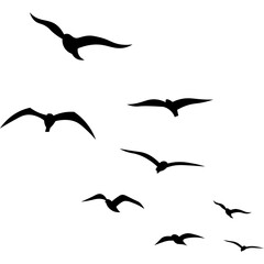 Birds Flying Silhouette