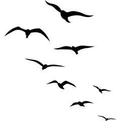 Birds Flying Silhouette