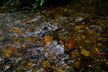colorful rocks under water stream