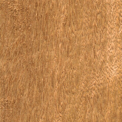 Walnut wood texture, can be used as background, wood grain texture