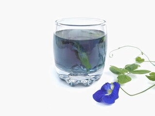 Boiled butterfly pea flower water in a glass on white background. Healthy drink lifestyle 
