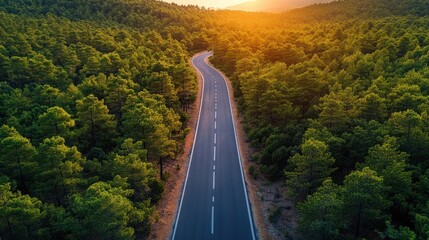 Fototapeta premium Winding Forest Road at Sunset. Aerial View
