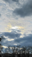 Blue sky with clouds, winter weather. Clouds on the background of trees.