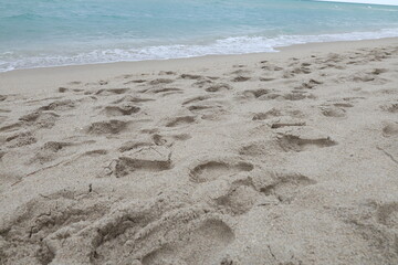 Many different footprints in the sand
