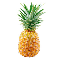Fototapeta premium Pineapple fruit plant food isolated on transparent background