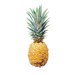Pineapple fruit plant food isolated on transparent background