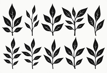 Minimalist Botanical Vector Set: Collection of Simple Black and White Leaves and Branches Isolated on White Background, Flat Design Graphics

