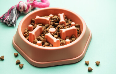 Innovative slow feeder bowl for dogs promoting healthy eating