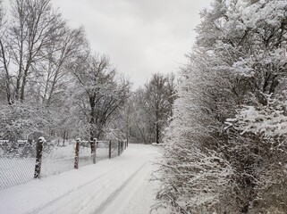 Neuschnee in Winterlandschaft 