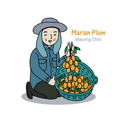 Marian plum from garden, farmer holding Marian plum or Mayong chid. Hand drawn style vector illustration.