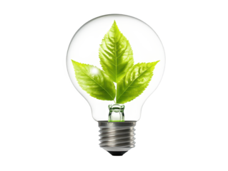 Ecofriendly innovation, glowing light bulb with embedded leaf symbolizing green energy and sustainable solutions