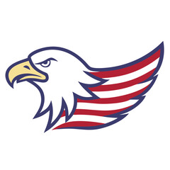 Obraz premium american eagle with flag