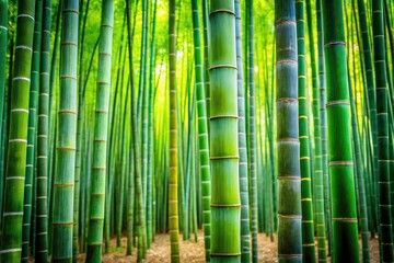Obraz premium Blurred bamboo forest creates a peaceful backdrop for architectural photography in a serene grove.