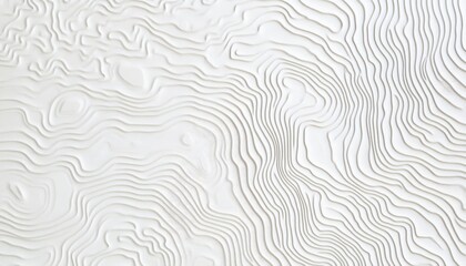 Obraz premium Topographic Abstraction: An artistic depiction of topographic lines, elegantly rendered with a minimalist aesthetic, creating a sense of depth and spatial understanding.