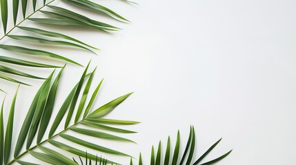Fototapeta premium The White Background of Palm Sunday: Exploring the Visual Mysteries and Cultural Depths in the Religious Context