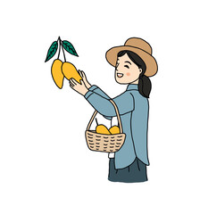 Woman harvesting mango in garden, hand drawn style vector illustration