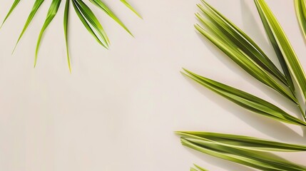 The Background of Palm Sunday: Exploring the Cultural, Visual and Spiritual Connotations behind the Religious Ceremony