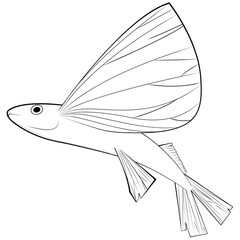 날치(물고기+동물+생선+지느러미+라인)