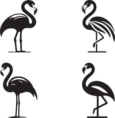 Elegant Flamingo Silhouettes Collection
